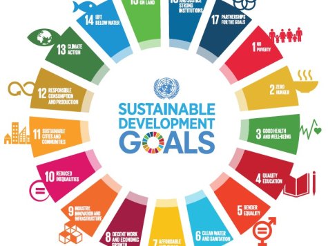 Essay sustainable development